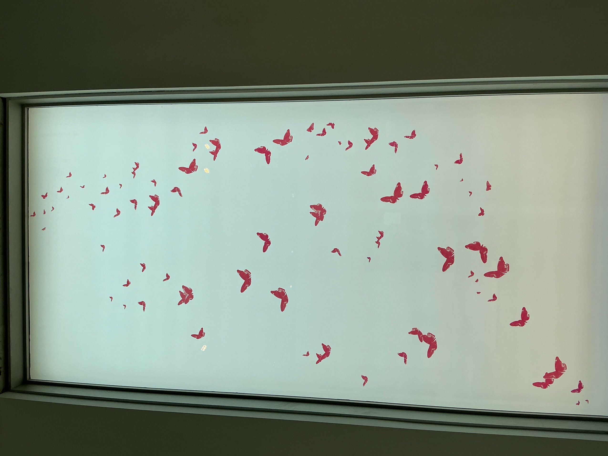 Frosted window with red butterfly-shaped decals scattered across it, with a dark frame at the top and bottom.