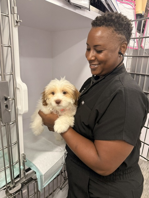 Person holding a small, fluffy puppy inside a cage or kennel, smiling and looking at the puppy.