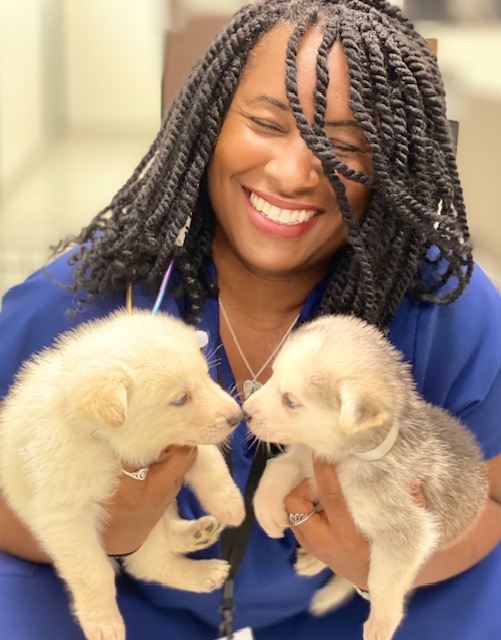 Woman smiling holding two puppies, one cream-colored and one gray and white, indoors. Alt text word count: 20. Confidence: 0.95