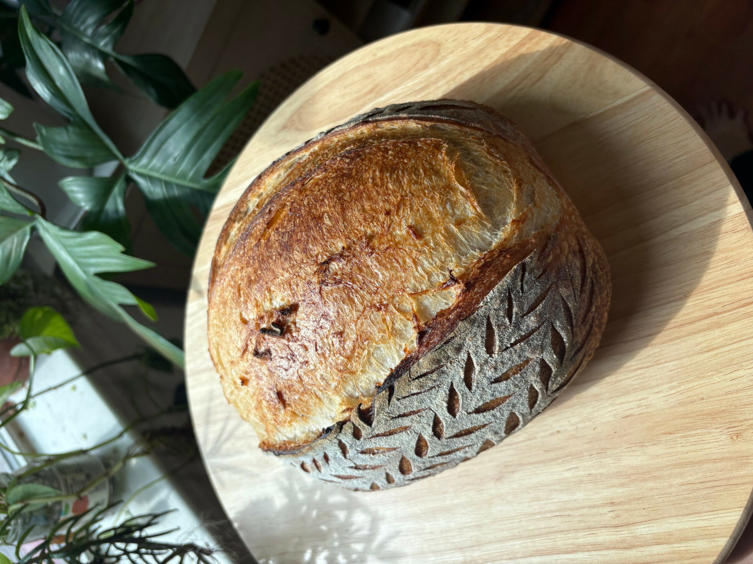 Round loaf of bread with a crusty top on a wooden surface, with green plants nearby