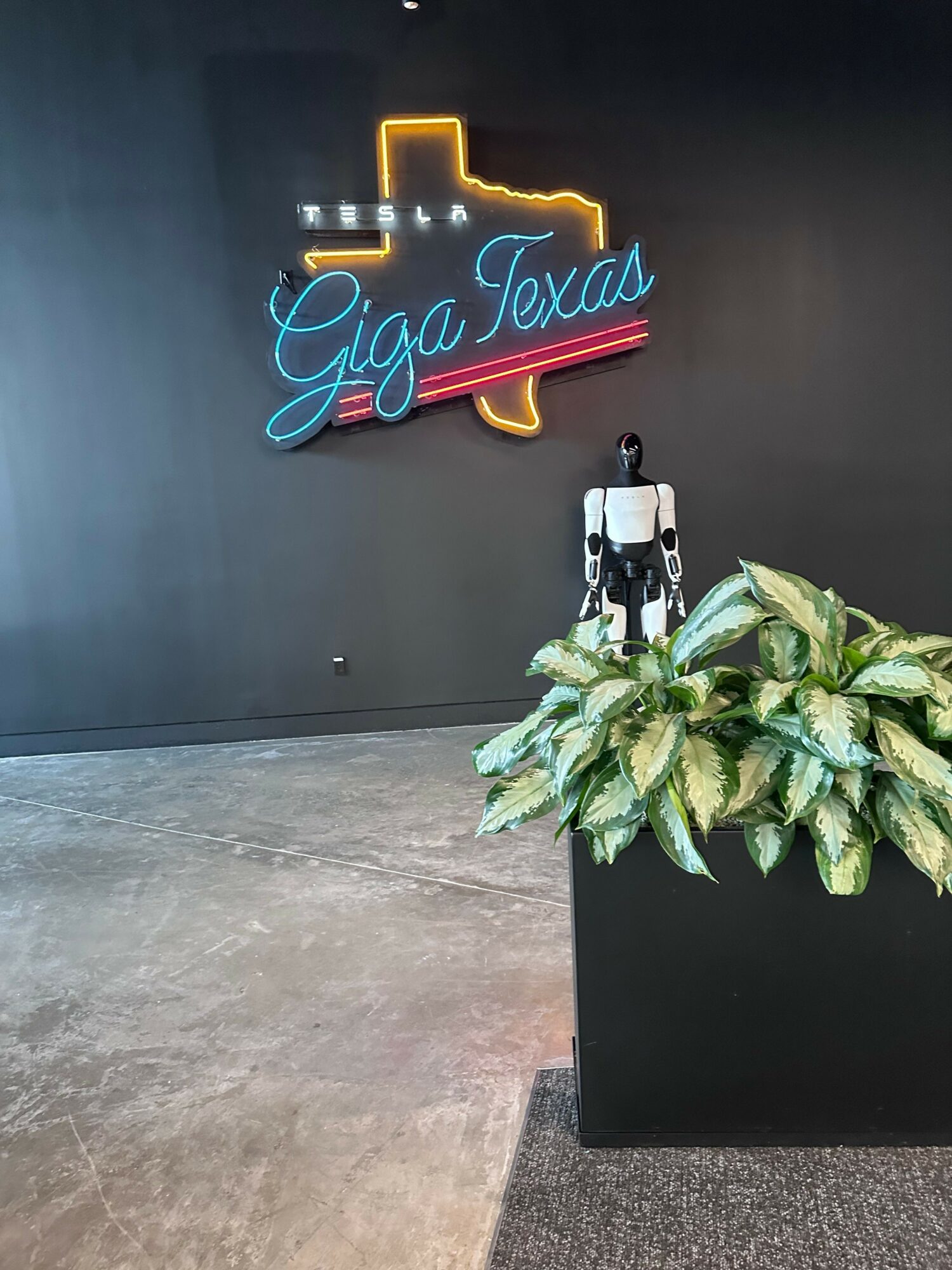 Neon Ford logo, plant, and black wall with concrete floor, viewed sideways.