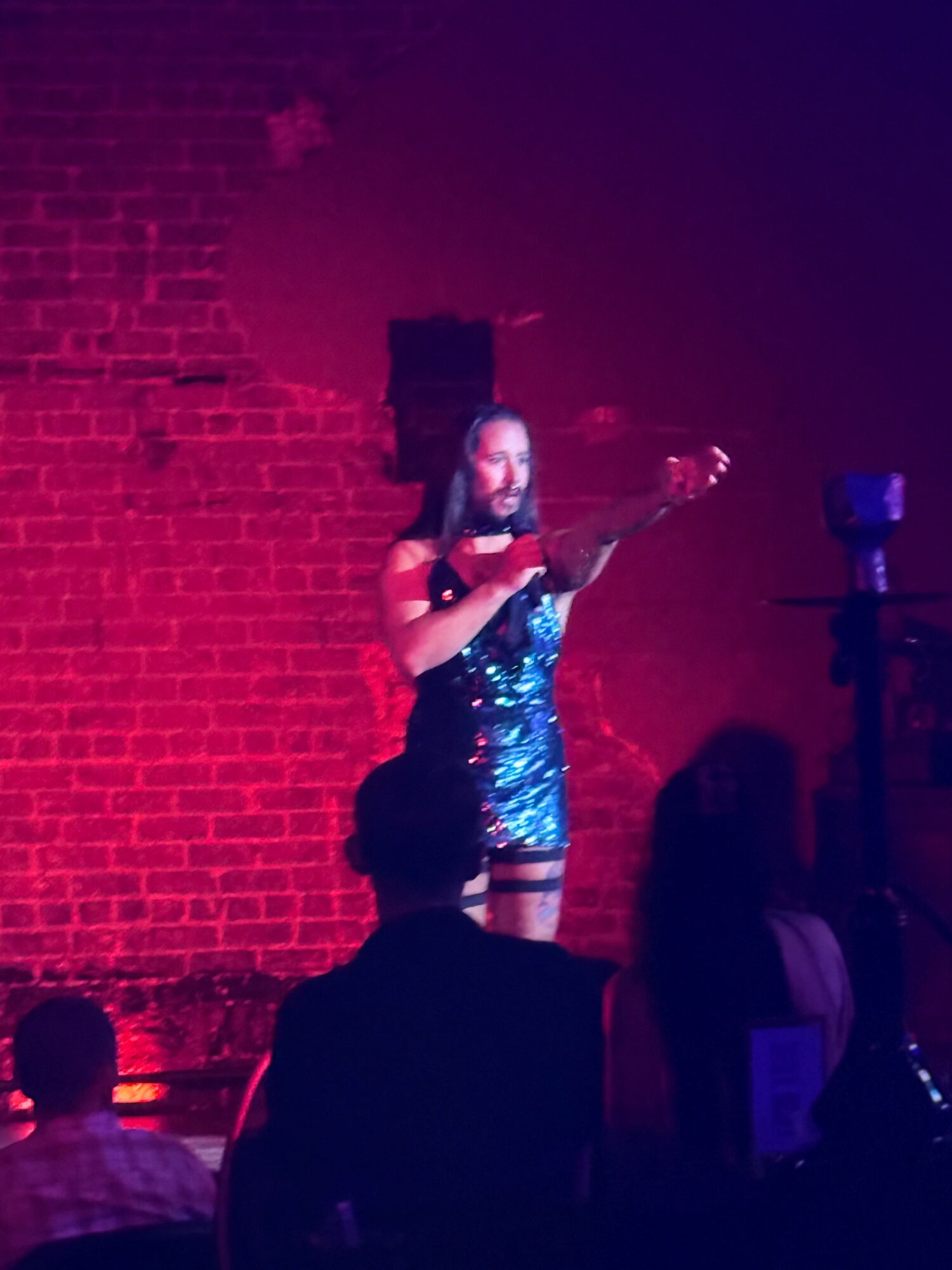 Performer on stage with a brick wall background, wearing a shiny dress, holding a microphone, with audience silhouettes in foreground.