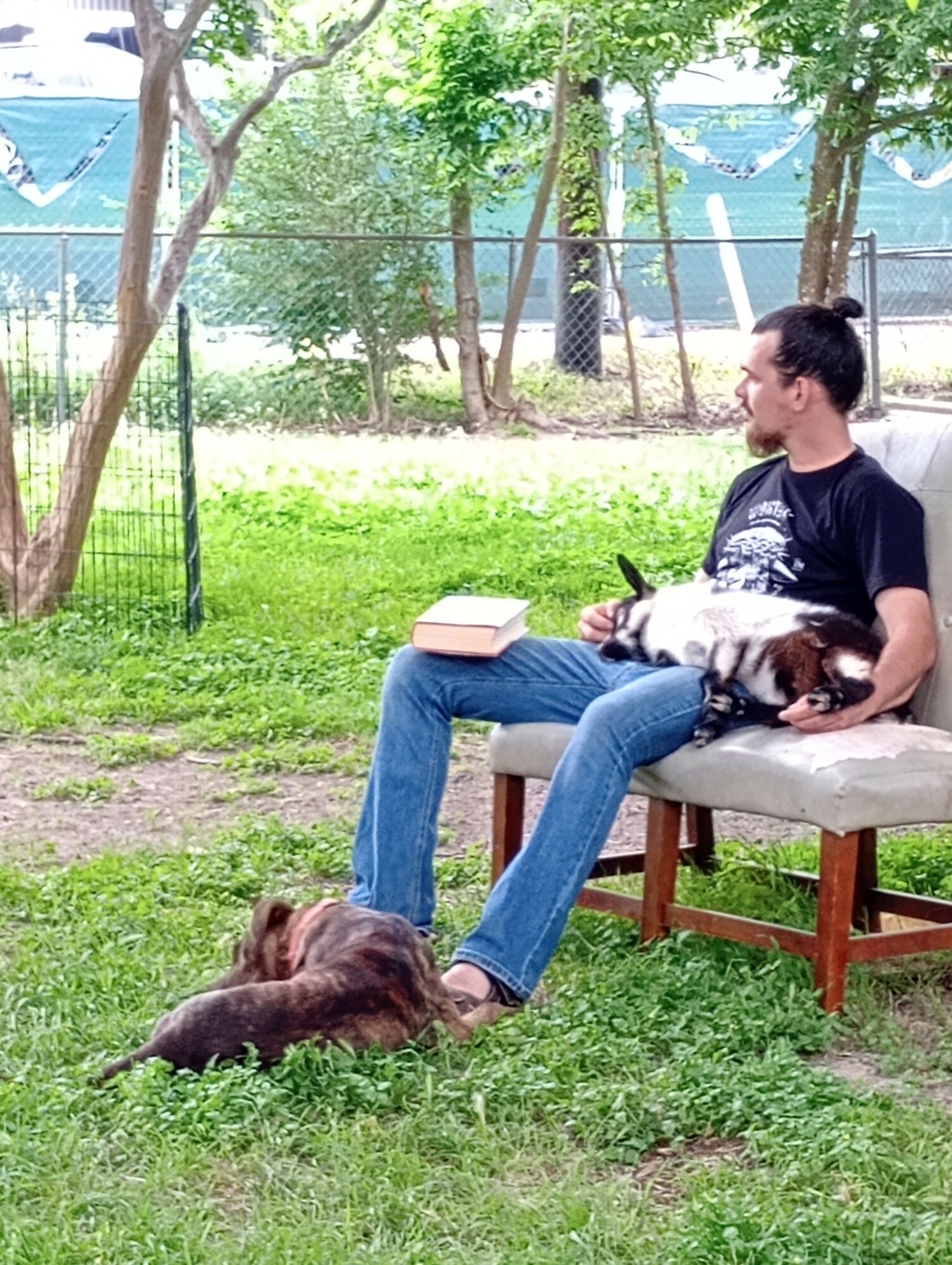 Person sitting on a bench petting a dog outdoors with trees and grass around.