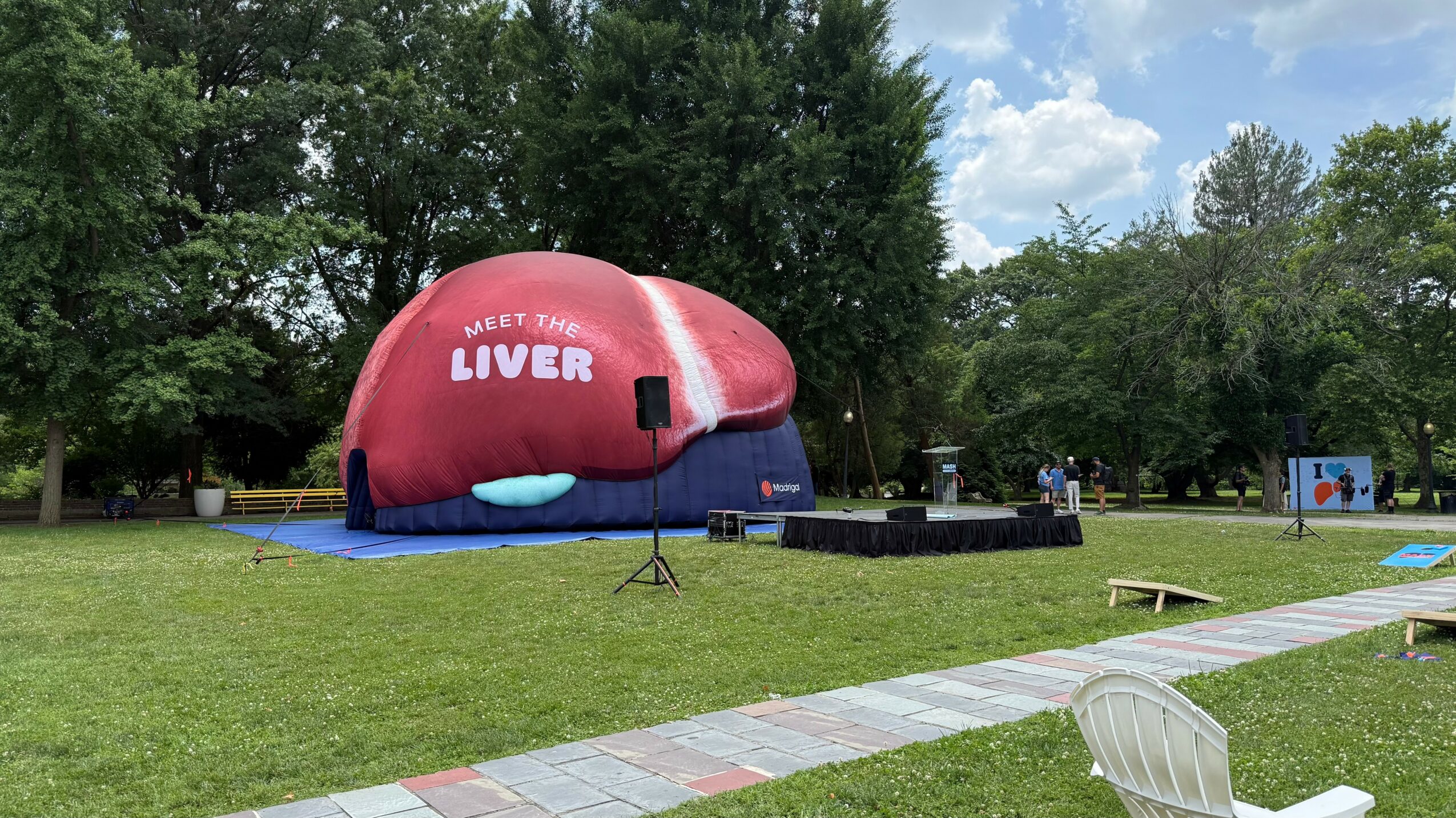 Inflatable structure resembling a liver with text, set up outdoors on grass with trees and a blue sky.