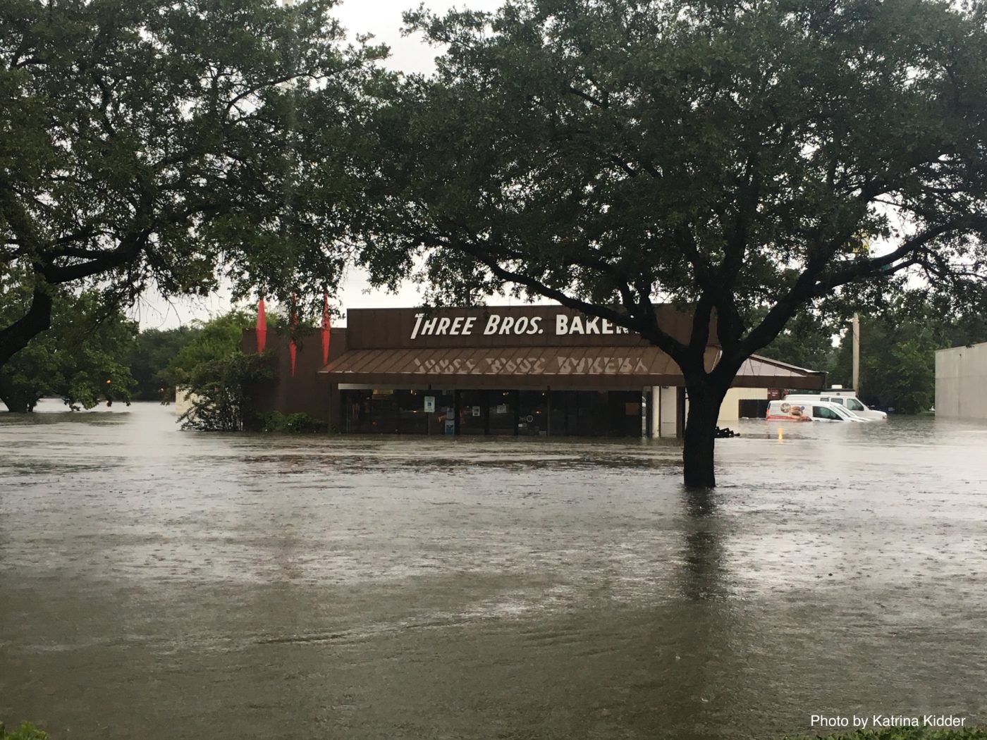 Flooded street with a bakery sign, trees partially submerged, and water covering the area.