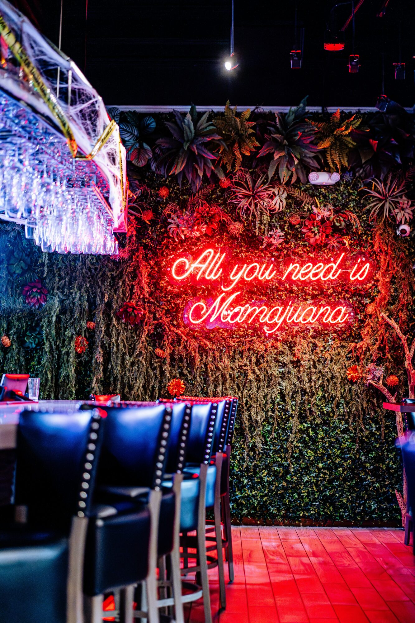 Indoor setting with a neon sign reading 'All you need is Marijuana' on a green leafy wall, with chairs and tables nearby.