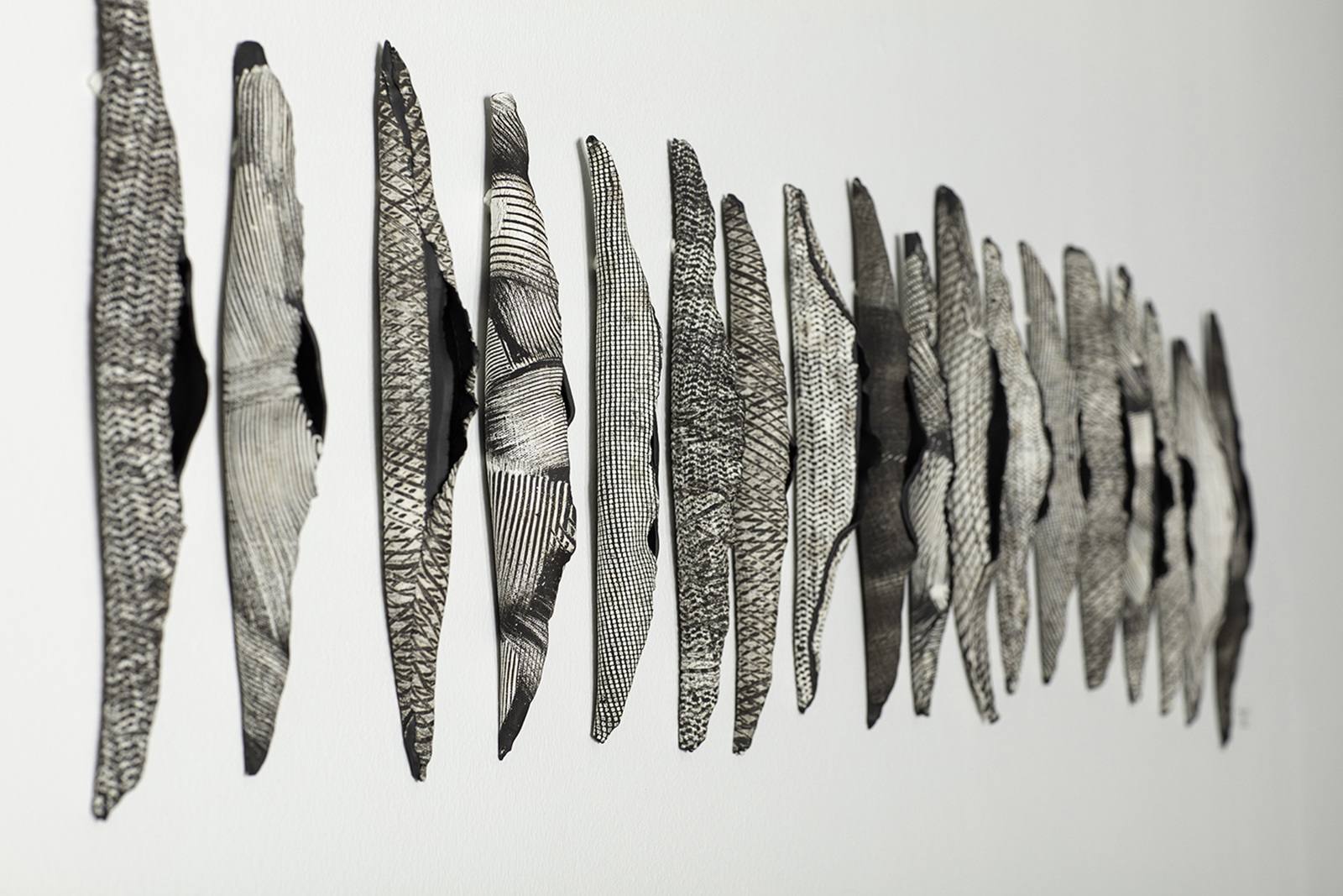 Row of various fish displayed on a white background, viewed from the side, arranged in a line.
