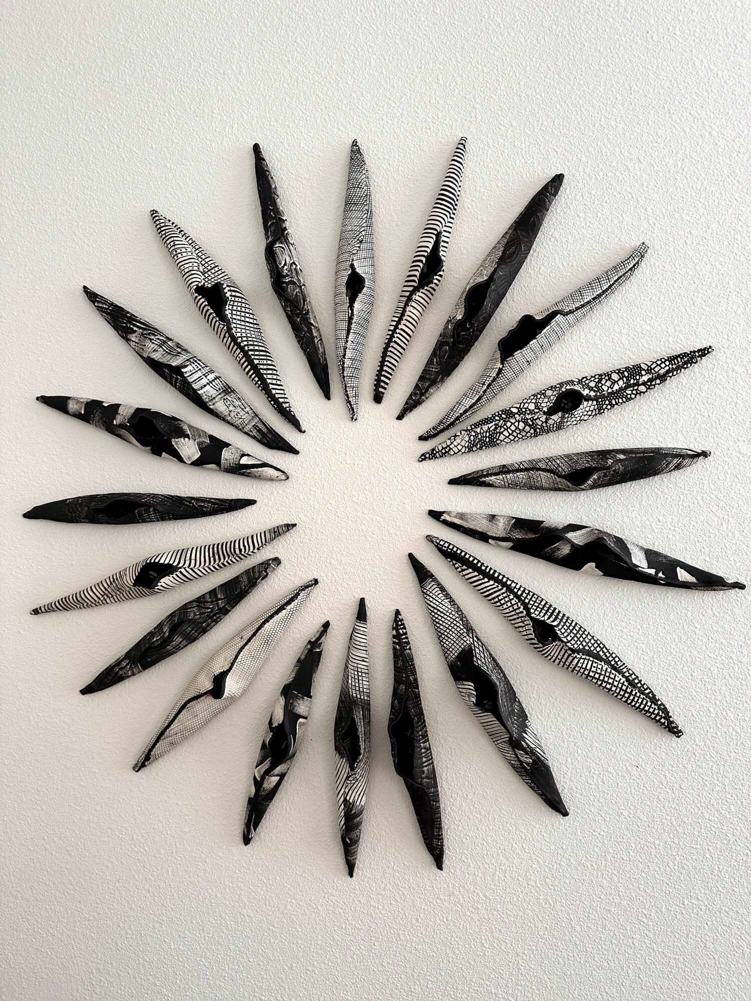 Black and white patterned feathers arranged in a circular pattern on a white background.