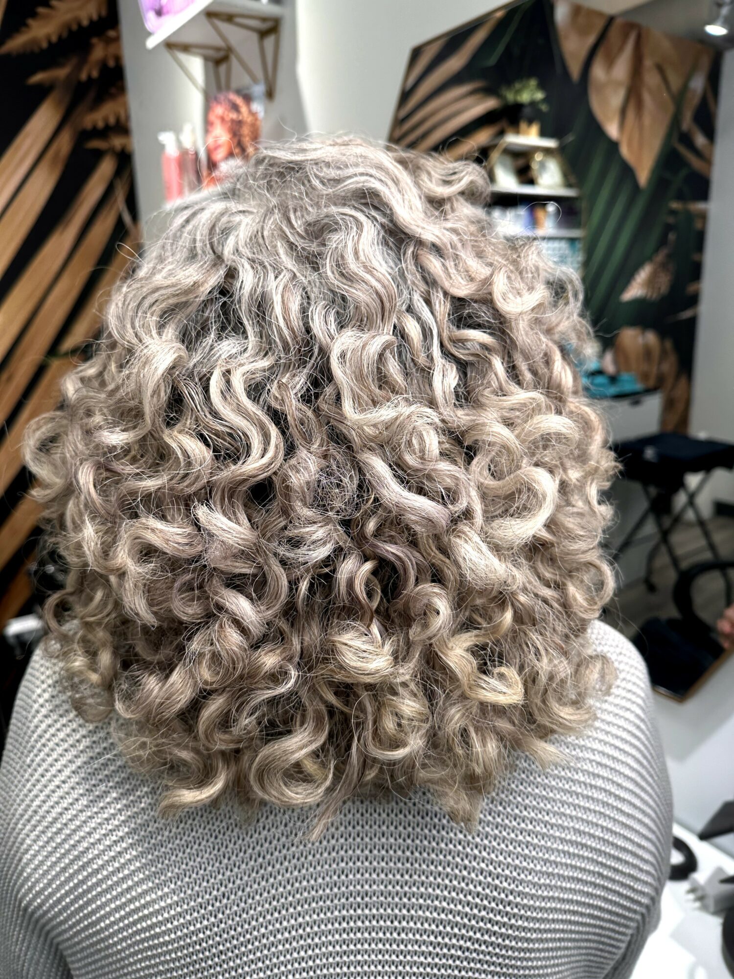 Back of person's head with curly, gray hair, indoors with shelves and plants in background.