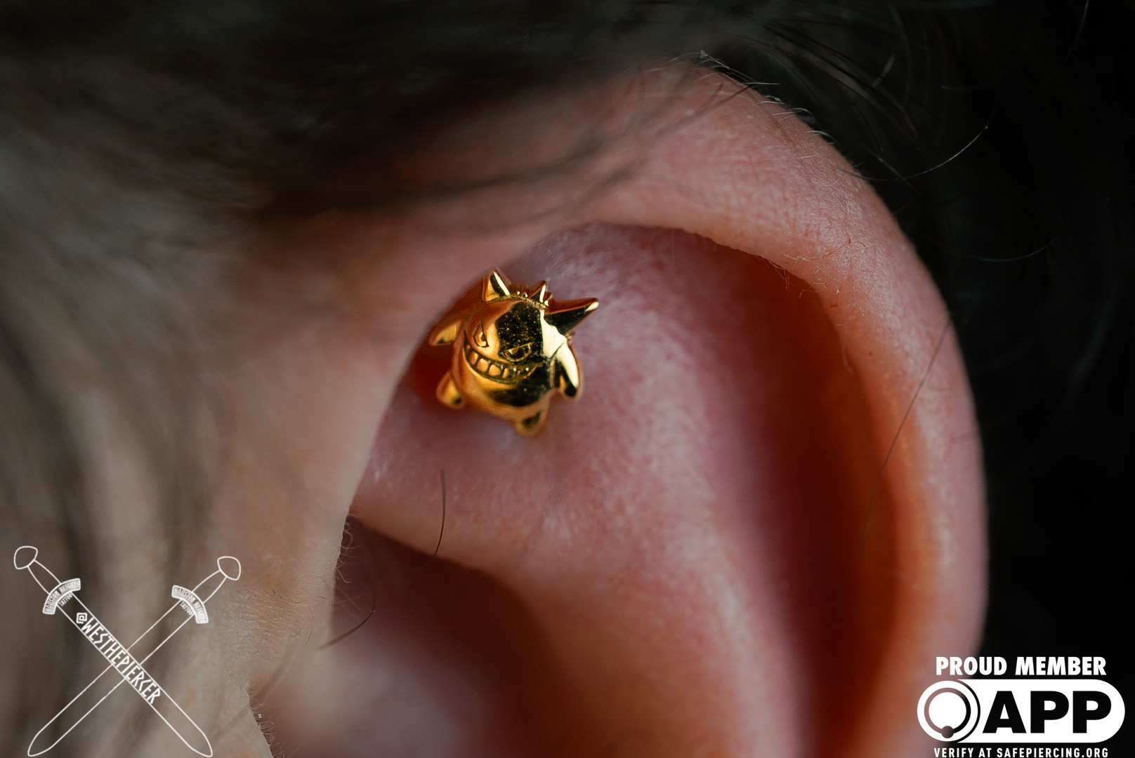 Close-up of a person's ear with a bee resting on the earlobe.