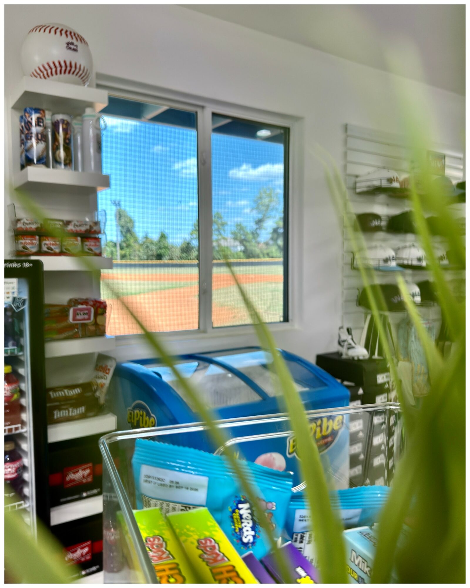 View of a store with a window, shelves with snacks, and a blue ice cream freezer, partially obscured by green plants.