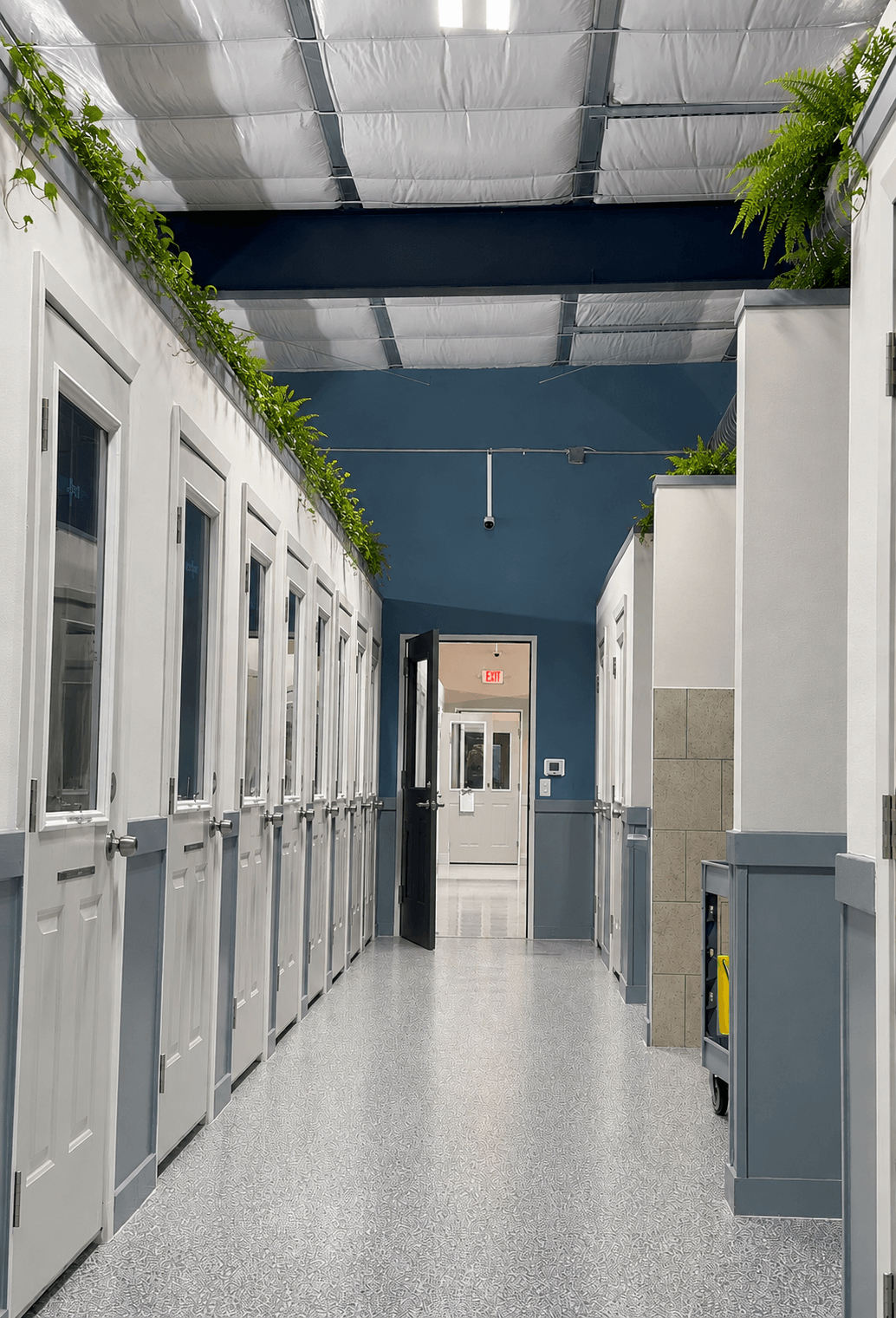 Corridor with white walls, glass doors, and a ceiling with metal beams, plants on top, and a door at the end.