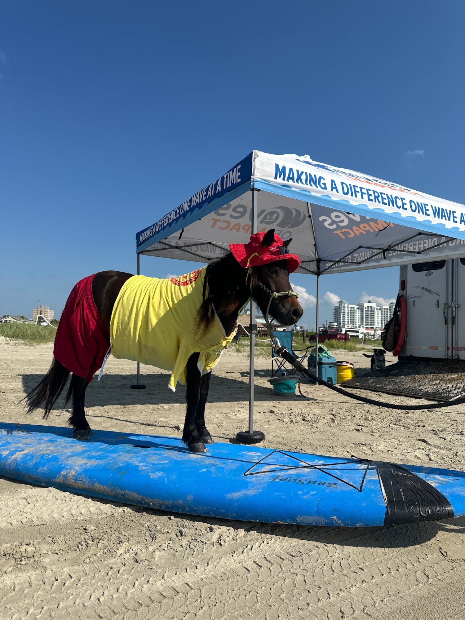 Dog wearing a yellow shirt and red hat standing on a blue surfboard on the sand near a beach tent, with a clear blue sky.
