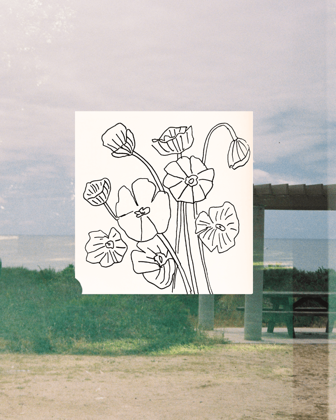 Line drawing of various flowers with stems and leaves on a white background.