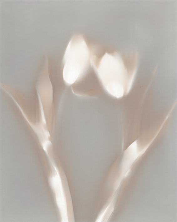 Abstract image with soft, flowing shapes in light colors on a gray background.