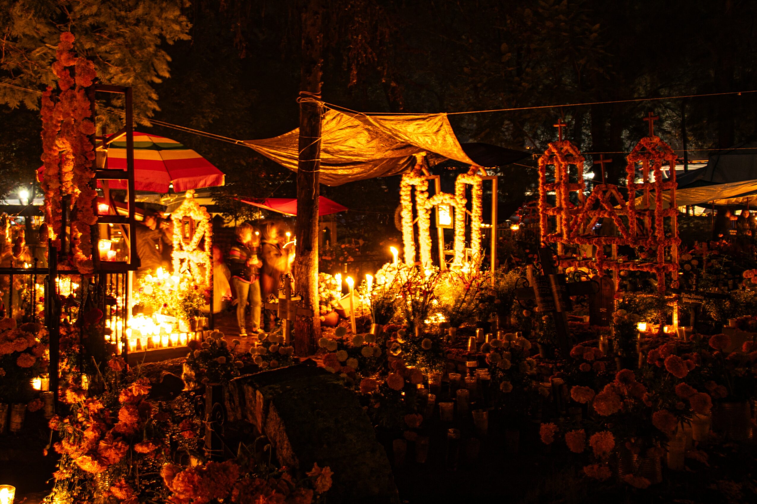 Night scene with illuminated decorations, flowers, and structures, glowing warmly in a festive outdoor setting.