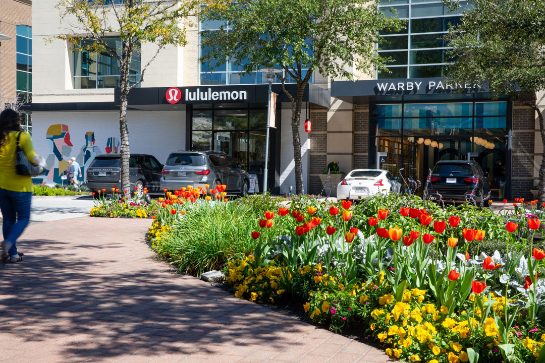 Flower bed with red, yellow, and white flowers in front of shopping centers, with parked cars and trees, sunny day.