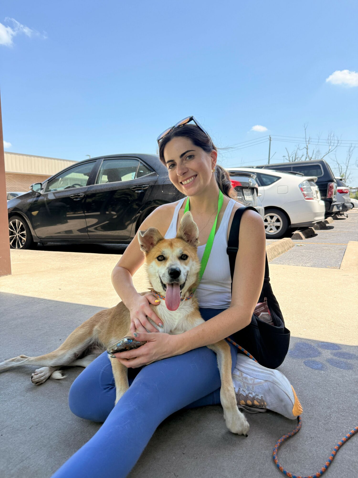 Woman sitting on ground holding a dog, parked cars in background, clear sky, sandy ground.
