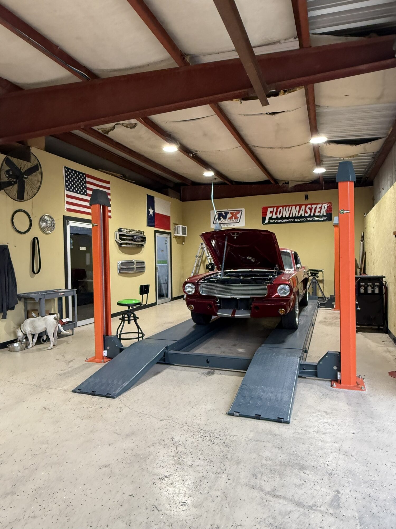 Car on a lift inside a garage with American flags, tires, and tools on the walls, and a dog nearby.