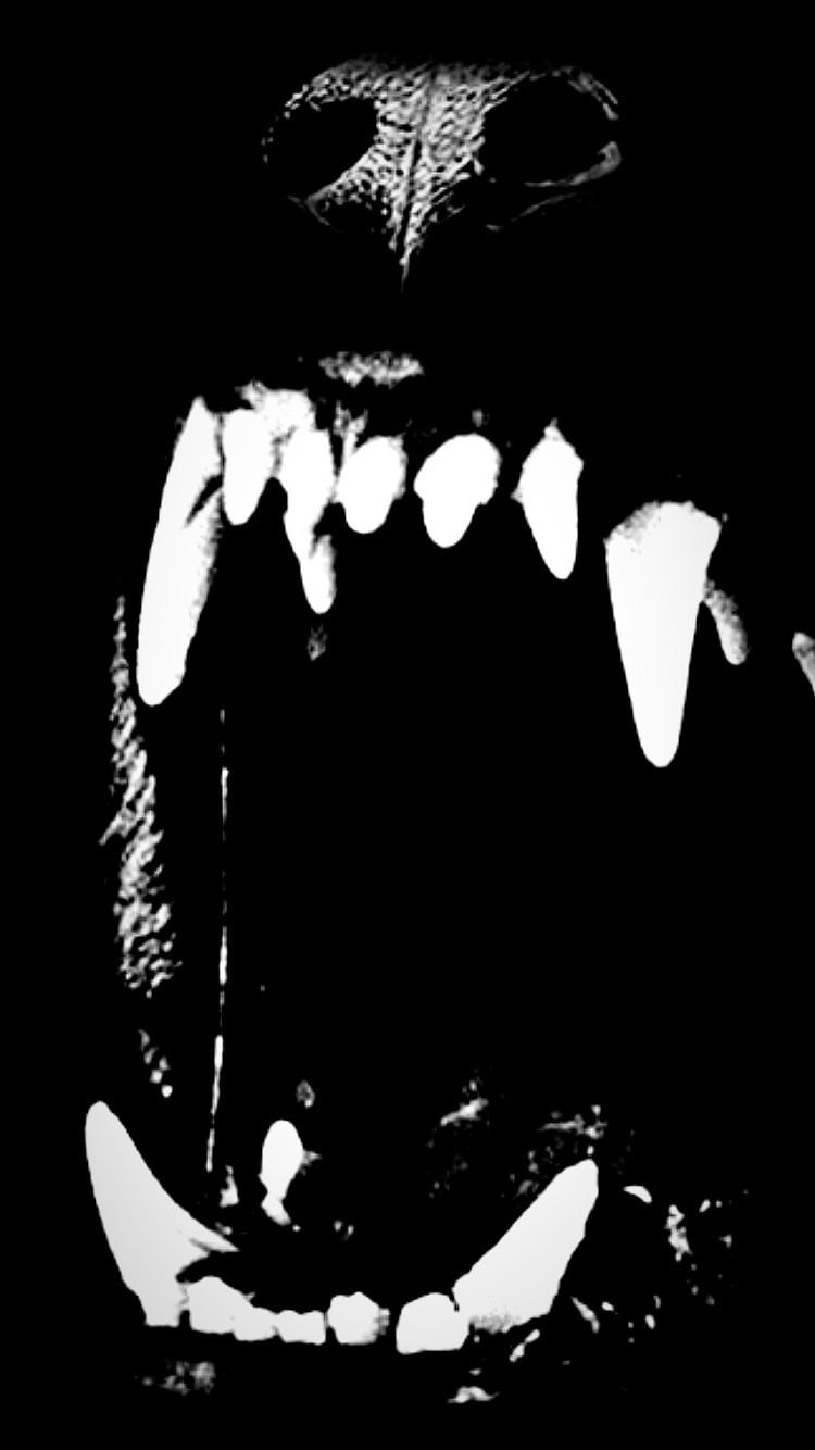 Close-up of a snarling animal with sharp teeth and dark fur, mouth open showing fangs, against a black background.
