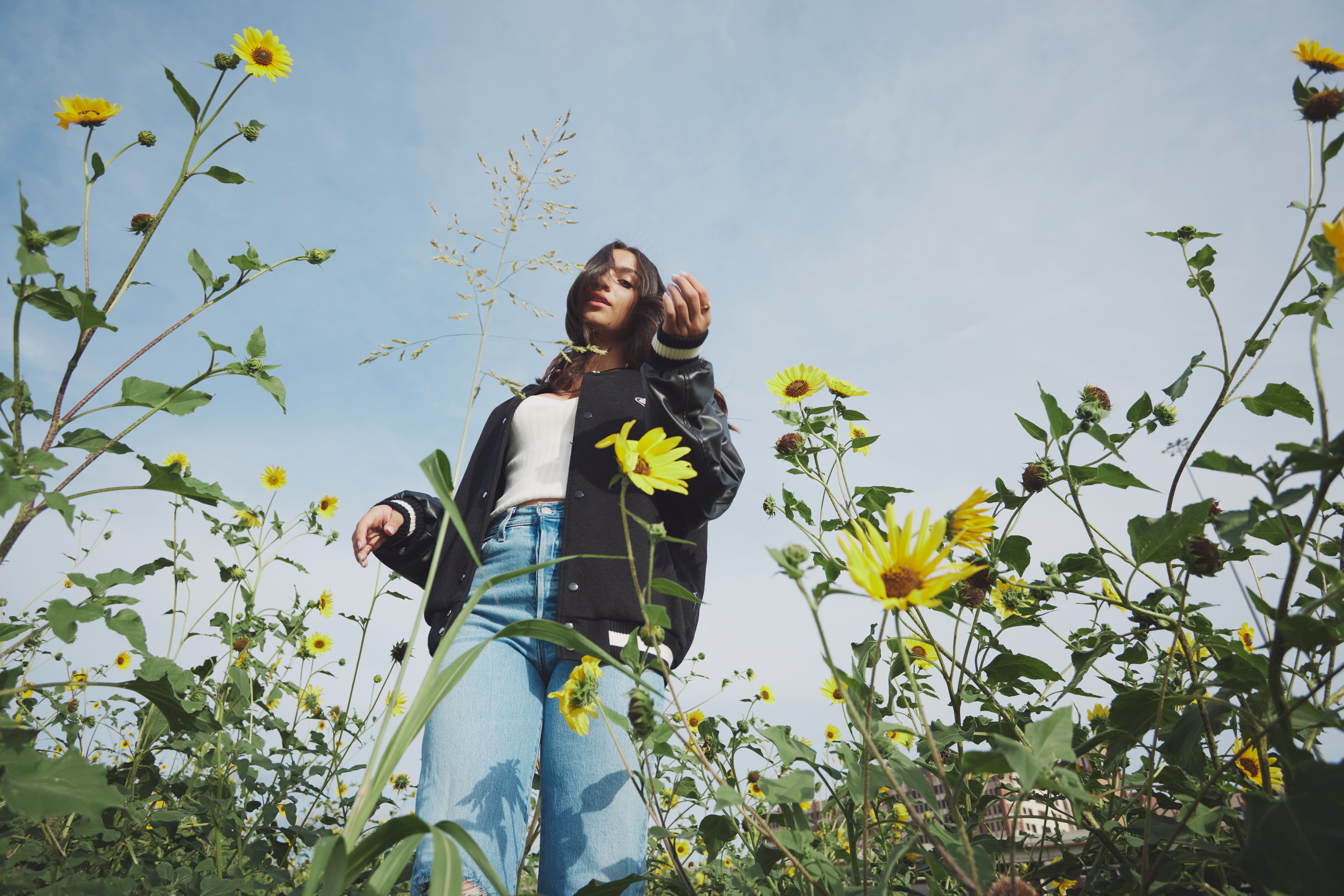 Woman standing among tall yellow flowers outdoors, looking up, sky background, wearing a black jacket and light blue jeans.