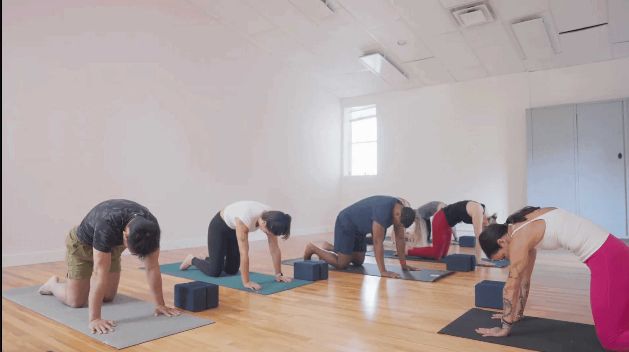 People practicing yoga in a bright studio, on mats with blocks, in a downward dog pose.