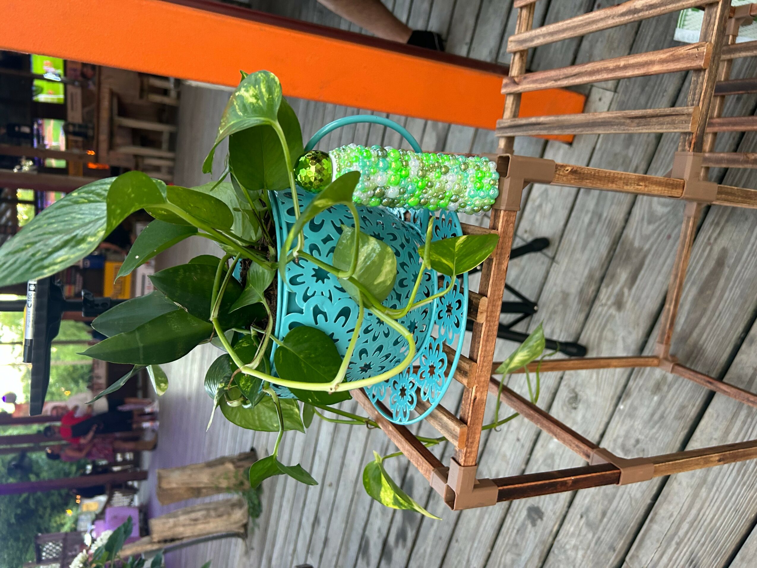 Green leafy plant in a blue decorative pot on a wooden table, with a water bottle in the background.