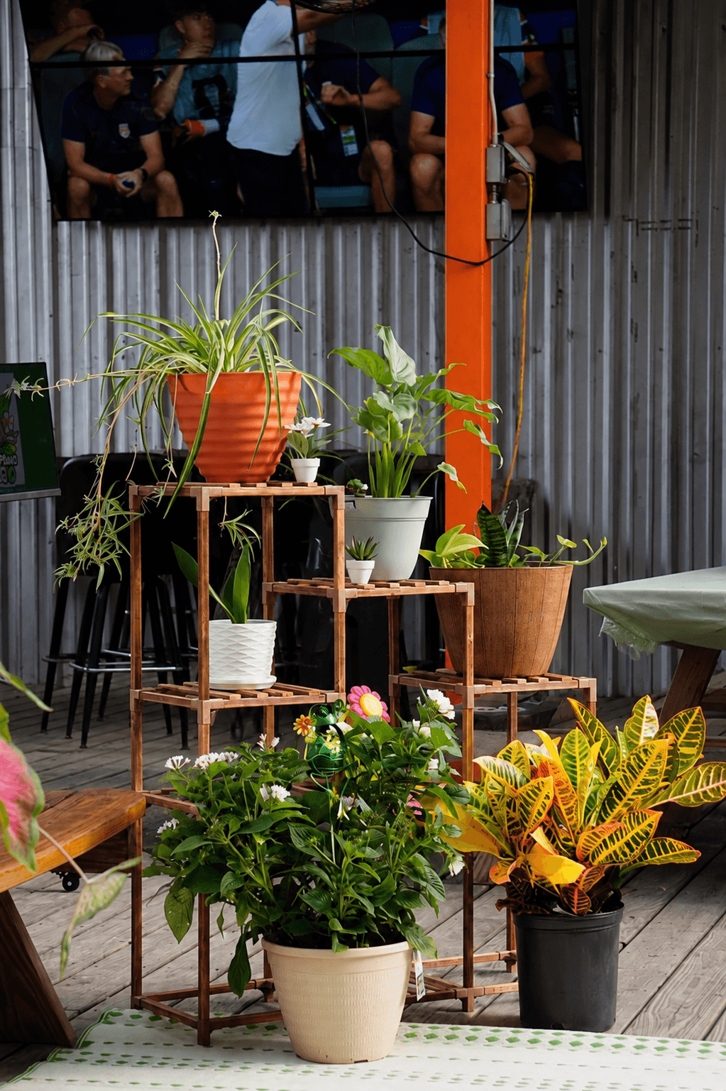 Indoor garden with potted plants on wooden shelves and table, metal wall background, and people in the background.