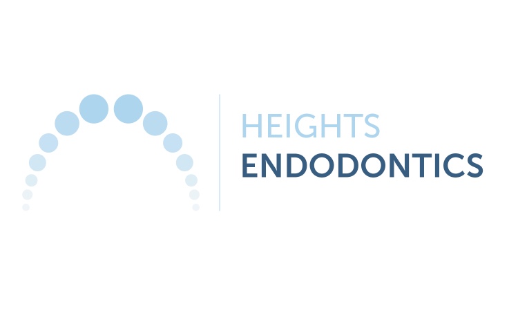 Logo with blue dots forming an arch and text 'Heights Endodontics' in blue and black.
