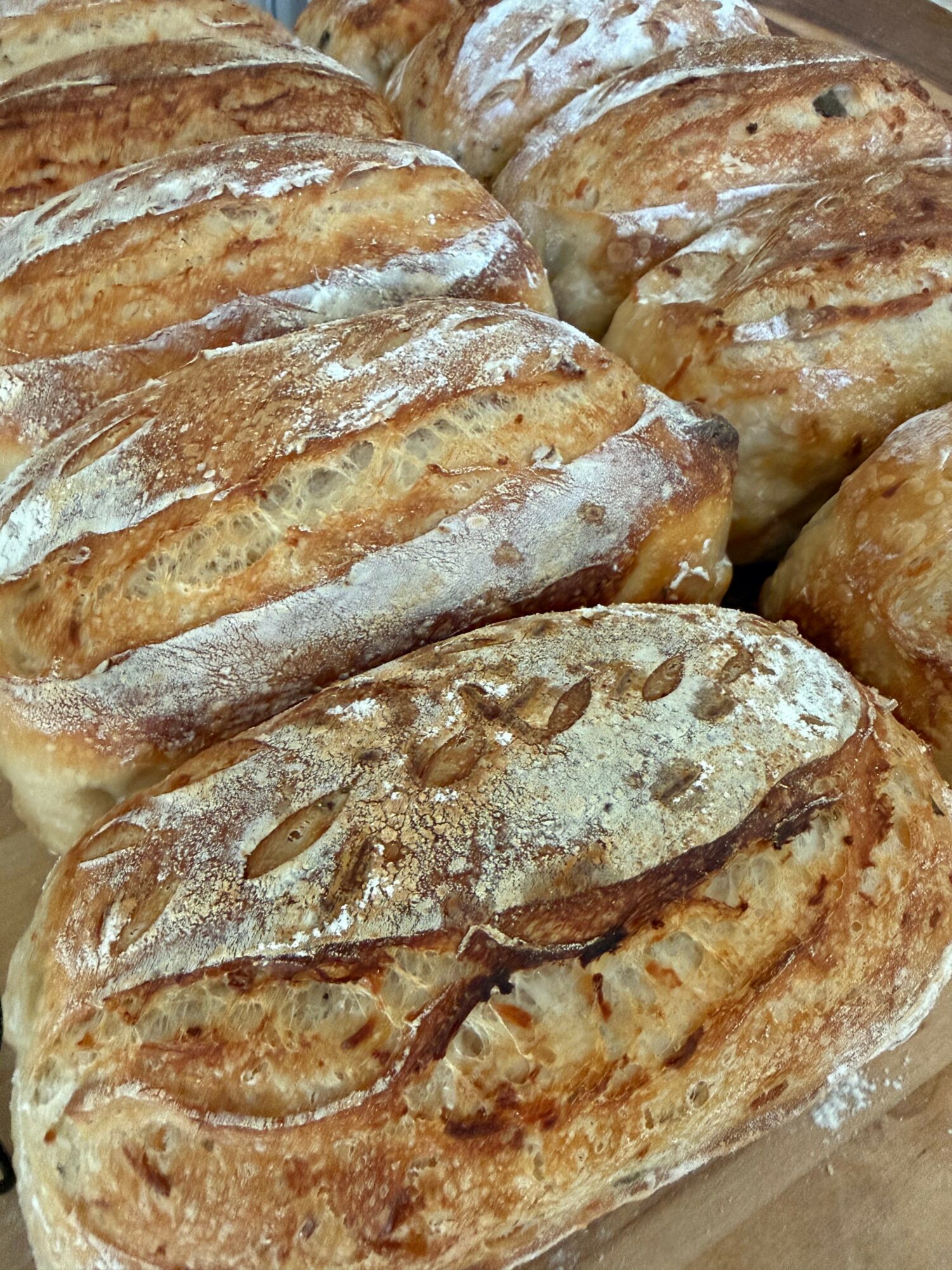 Close-up of baked pastries dusted with powdered sugar, topped with almond slices, showing golden-brown crusts.