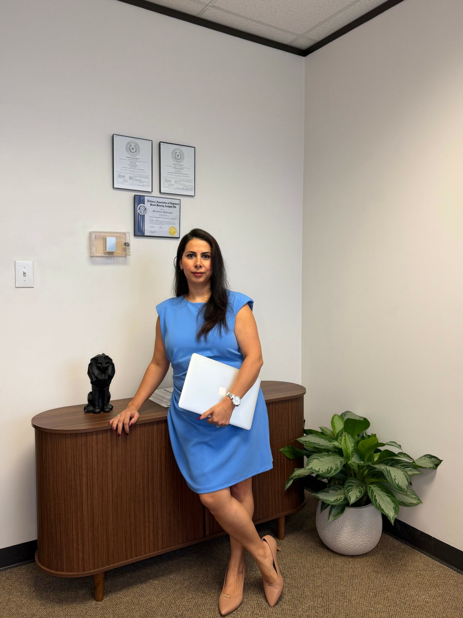 Woman in blue dress holding a folder and standing next to a wooden cabinet with a dog sculpture, in an office with certificates on the wall, and a potted plant.