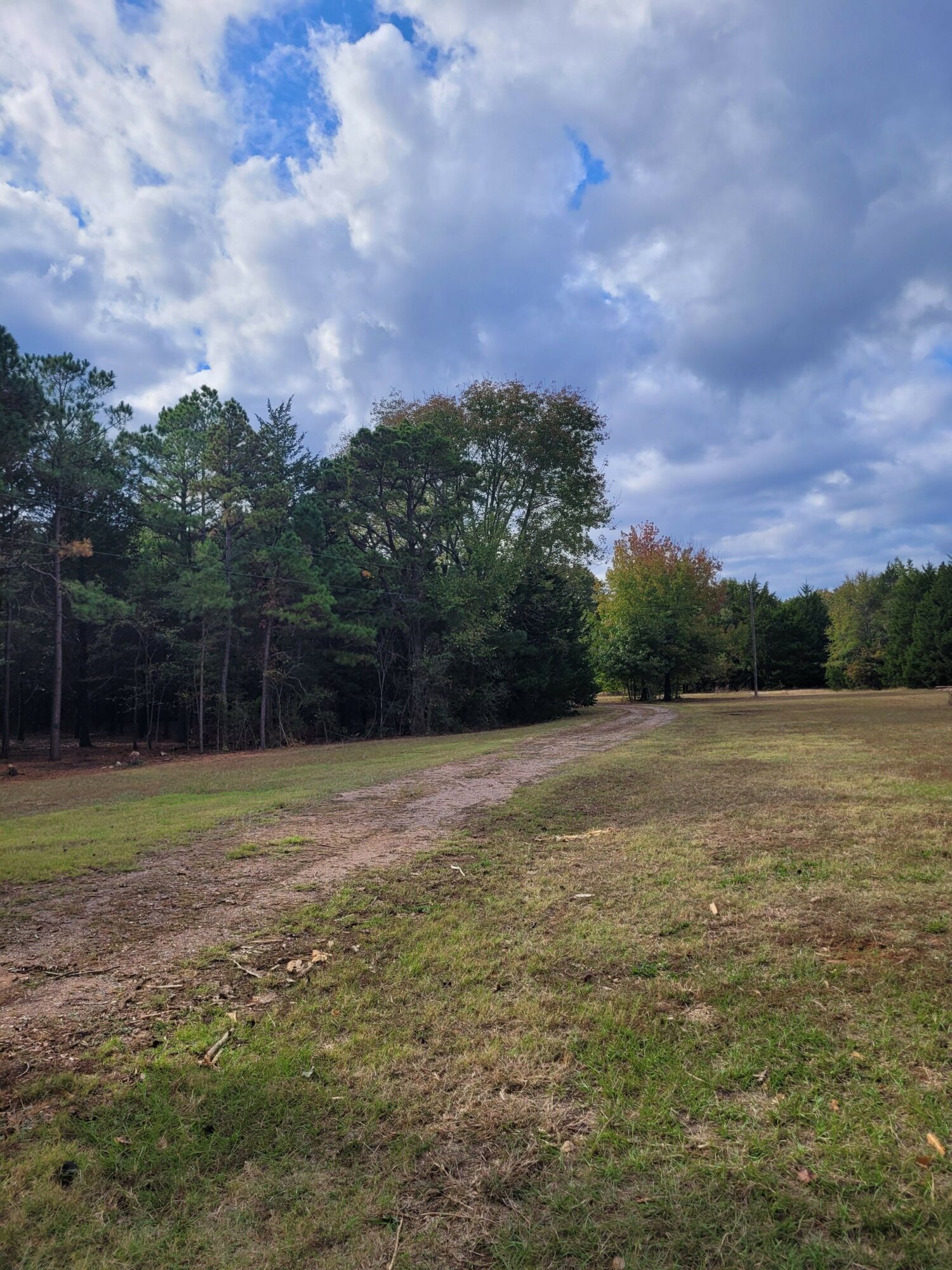 A grassy field with trees under a partly cloudy sky, viewed from the side, with a dirt path on the right.