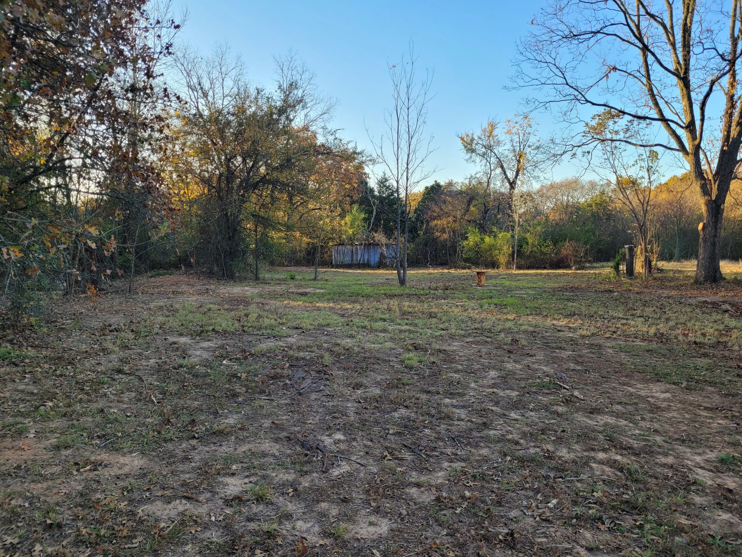 Open grassy area with trees and a fence in the background, under a clear sky.